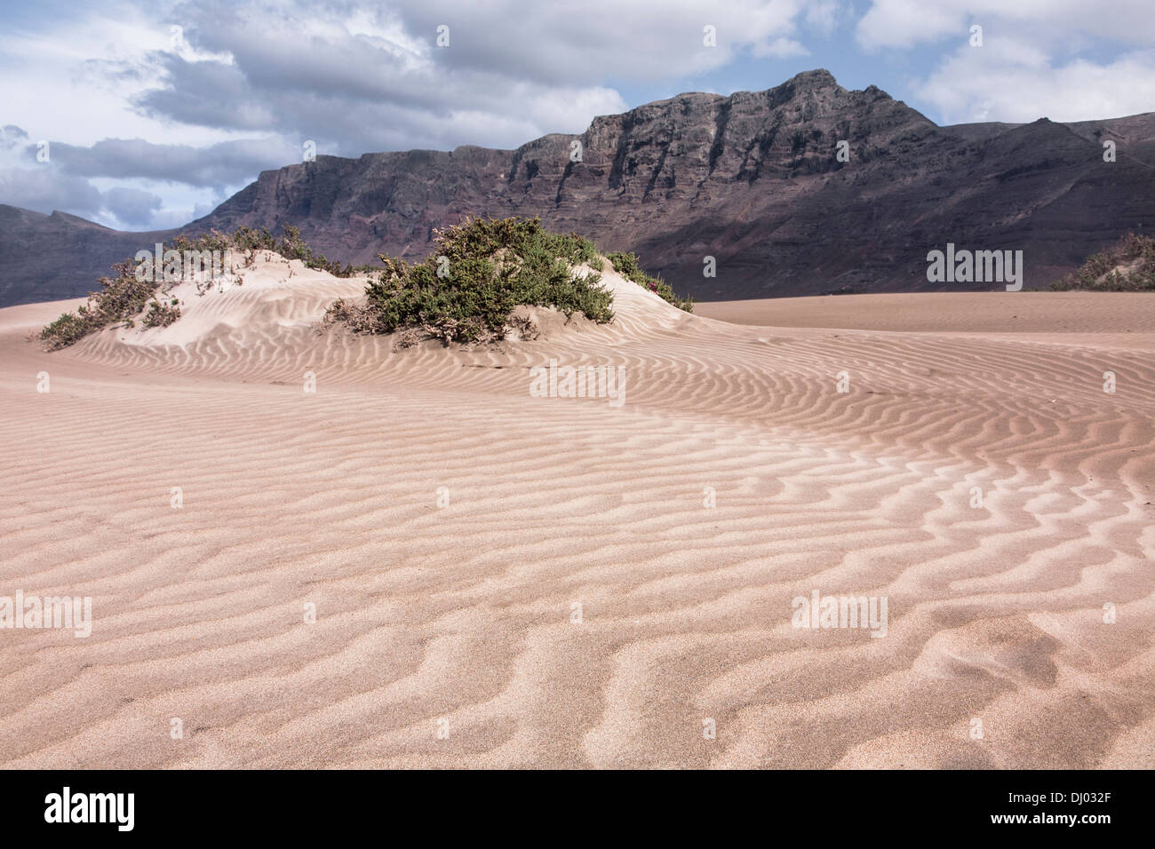 Spiaggia di Famara dune di sabbia risko risco cliff mountain Foto Stock