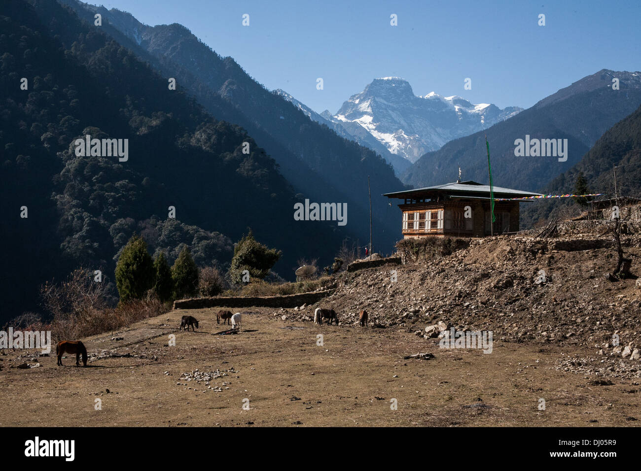 Una casa tradizionale Appollaiato tra i bhutanesi Himalaya Foto Stock
