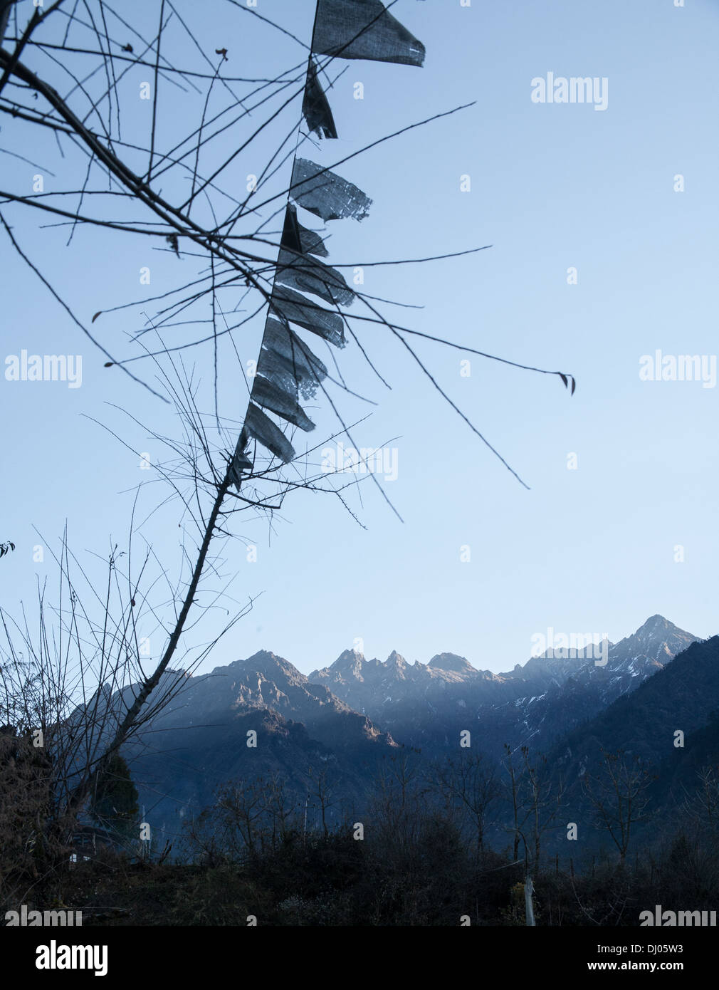 Bhutanesi bandiere di preghiera Foto Stock