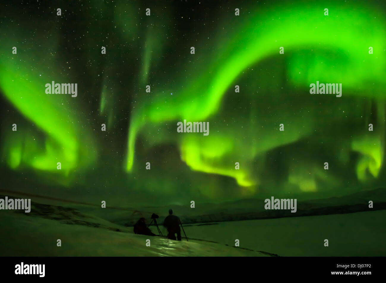 Luci del nord appaiono con un vivido verde modello vorticoso nel cielo notturno, in Abisko, arctic Svezia Foto Stock