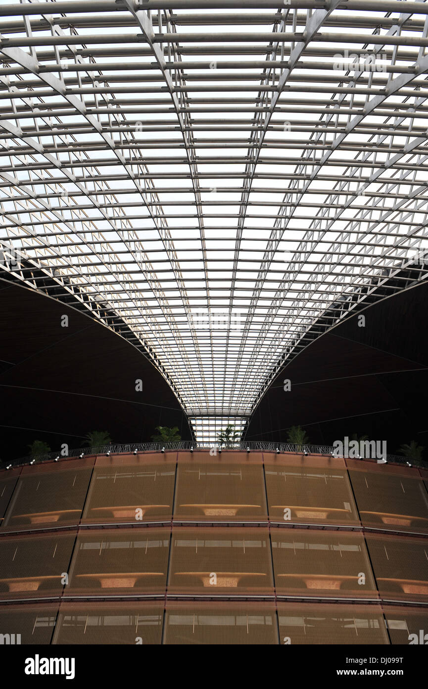 Centro Nazionale per le Arti dello Spettacolo (Cina) Foto Stock