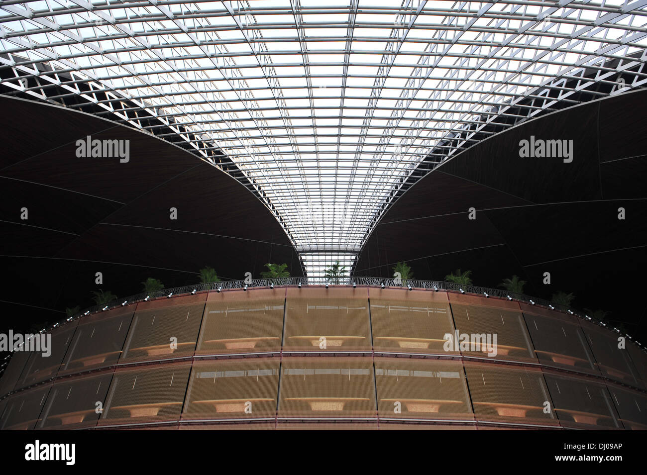 Centro Nazionale per le Arti dello Spettacolo (Cina) Foto Stock