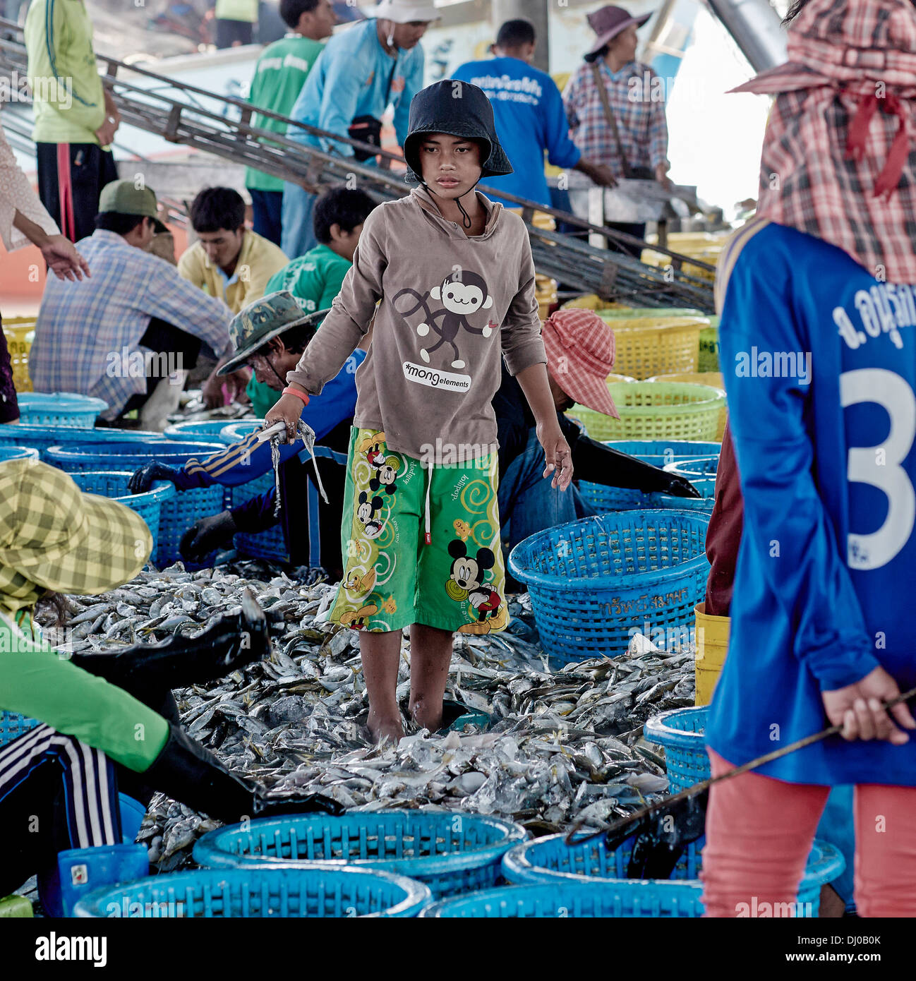 Thailandia industria del pesce. Mercato del pesce tailandese. Cernita di pesce fresco catturato. Thailandia S. E. Asia Foto Stock