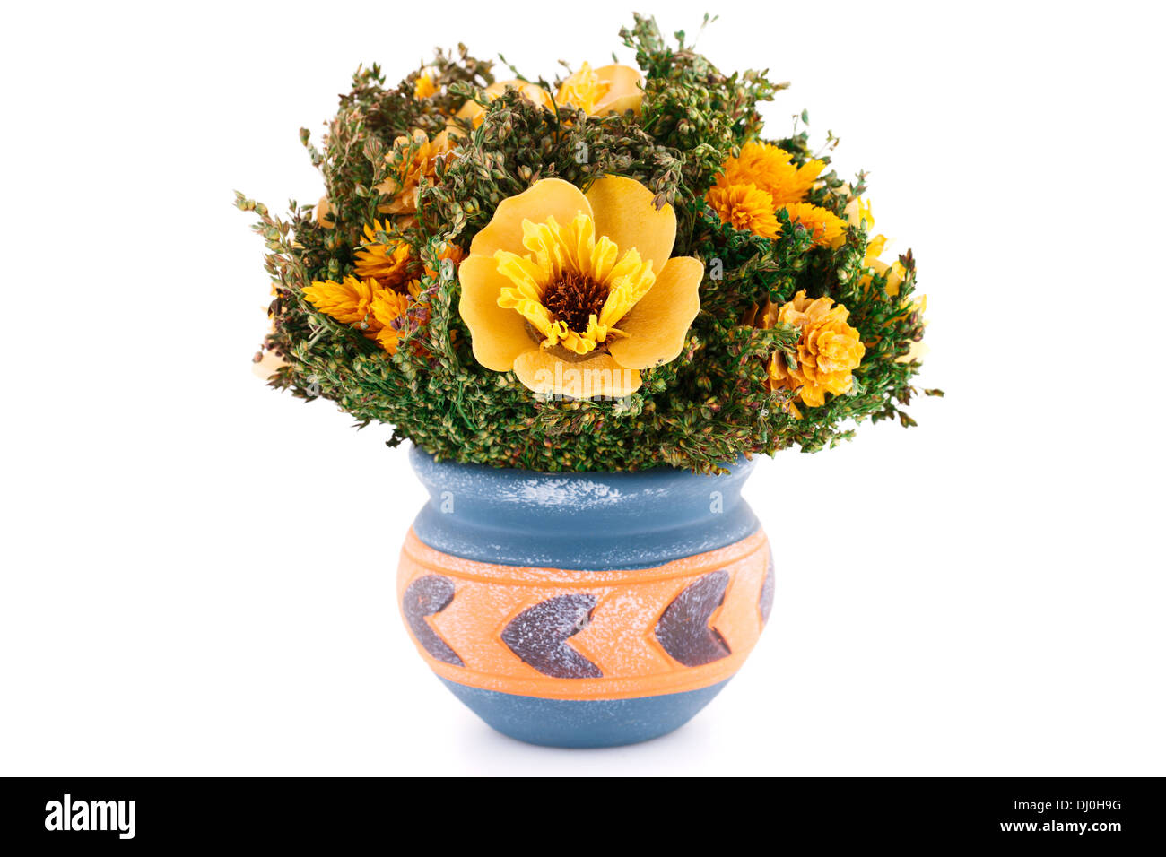 Fiori in vaso isolato su sfondo bianco. Foto Stock