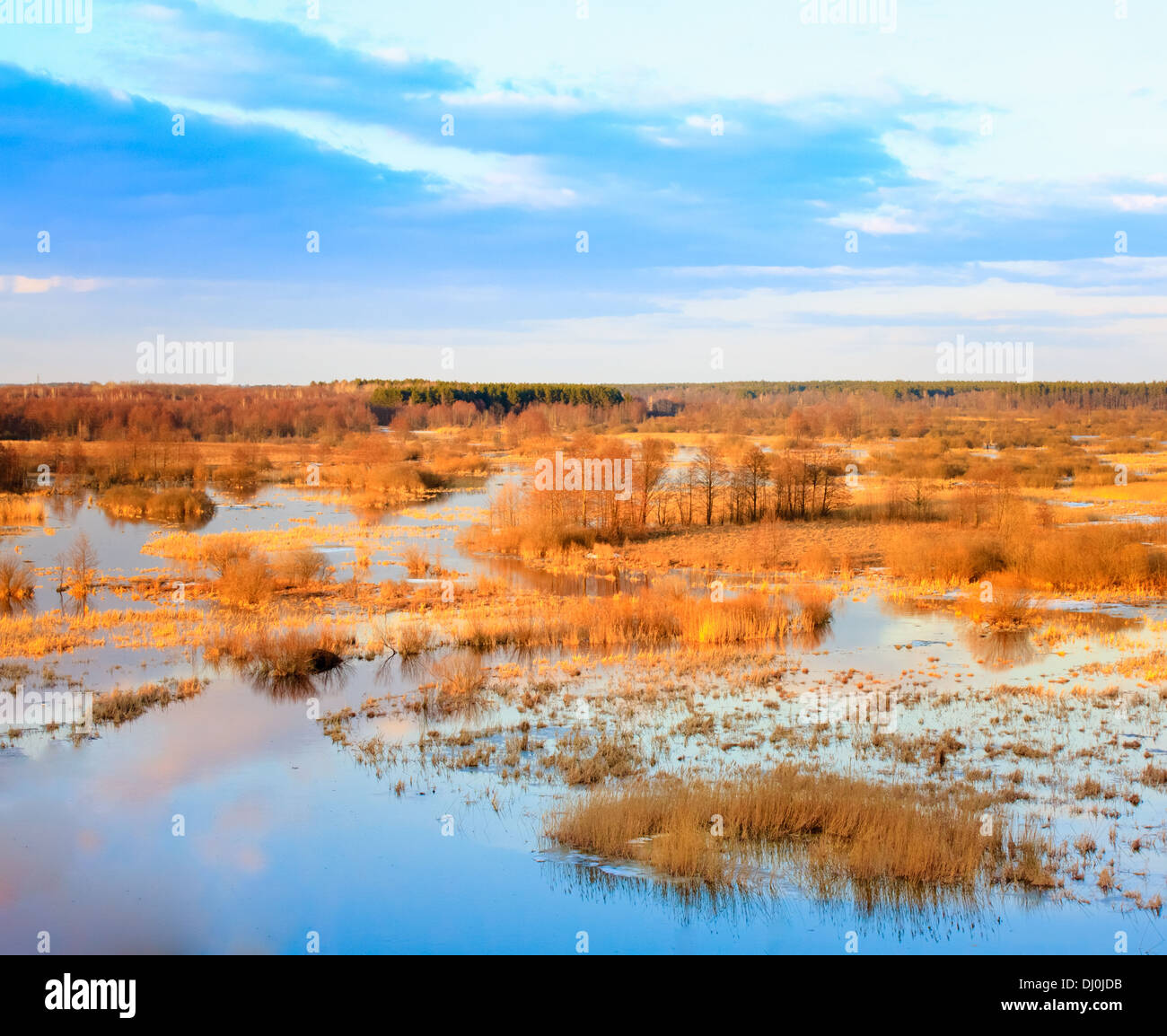 La molla del paesaggio inondato con alberi. Natura russo Foto Stock