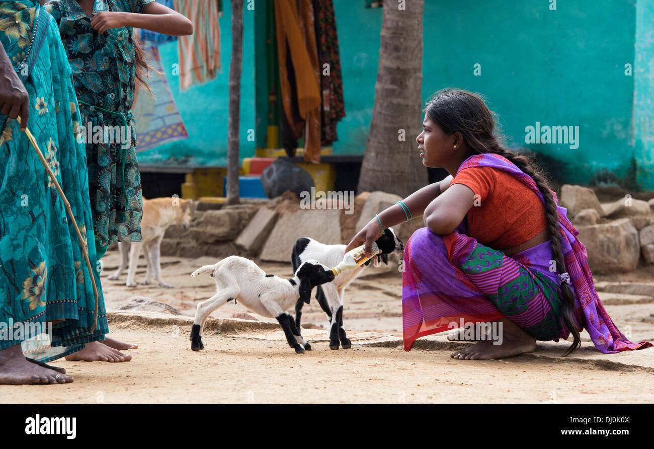 Teenage ragazza indiana biberon un capretto in un territorio rurale villaggio indiano. Andhra Pradesh, India Foto Stock
