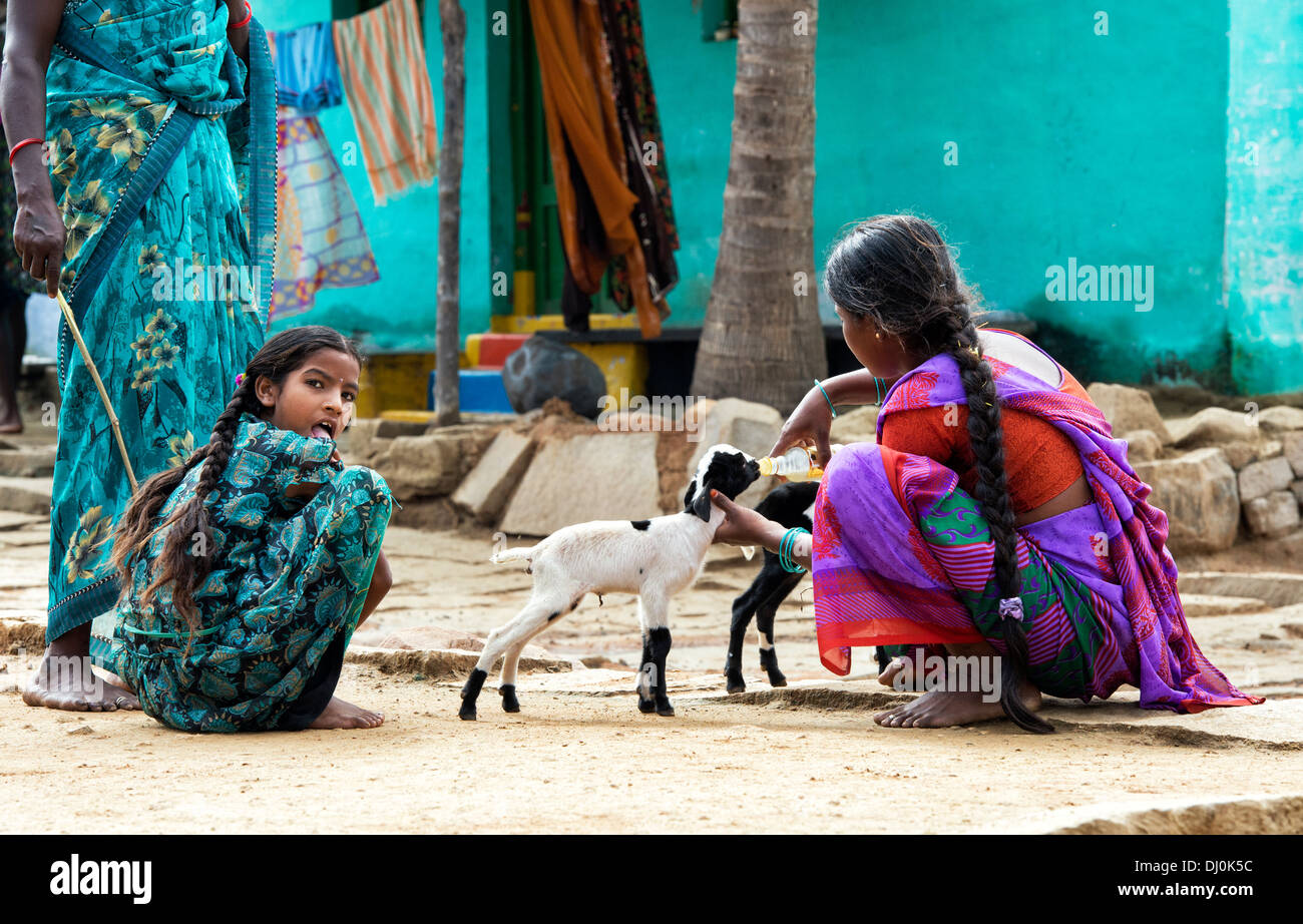 Donna indiana bottiglia di alimentazione di un capretto in un villaggio rurale indiano. Andhra Pradesh, India Foto Stock