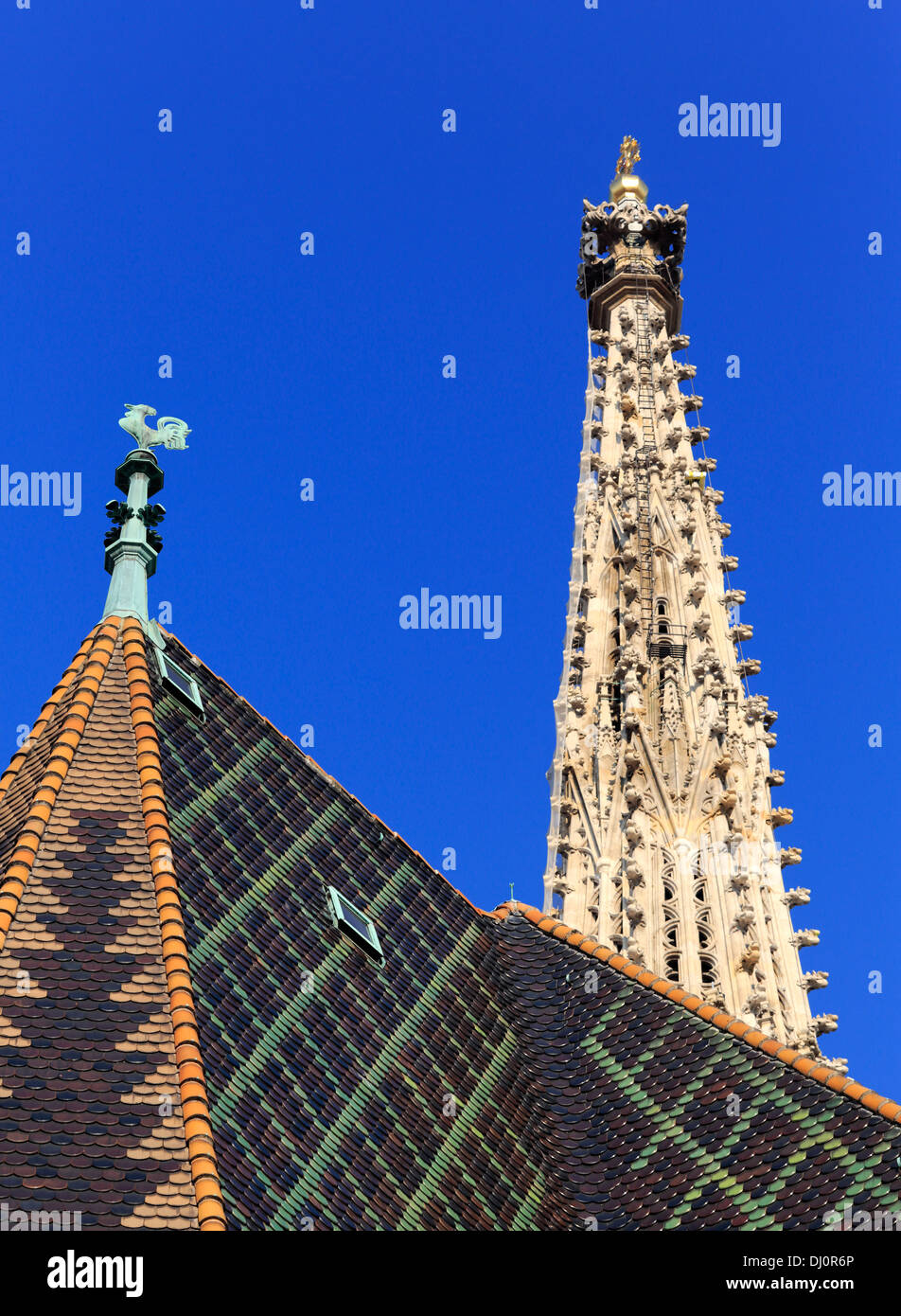 La cattedrale di Santo Stefano (Stefansdom), Vienna, Austria Foto Stock