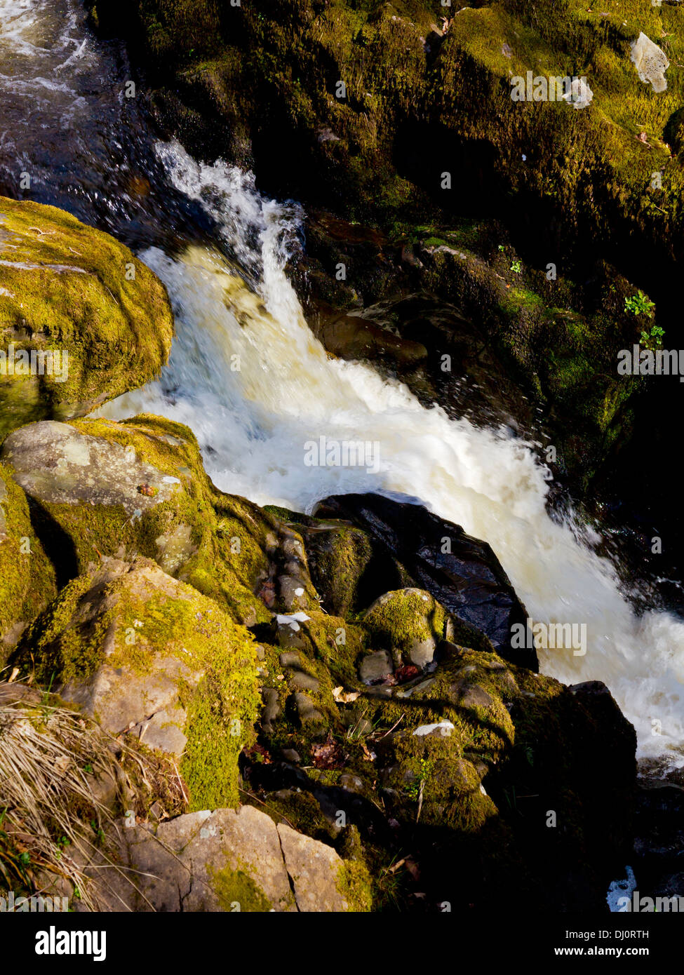 L'acqua che scorre attraverso le rocce vicino Aira Force cascata Ullswater nel Parco Nazionale del Distretto dei Laghi Cumbria Inghilterra England Regno Unito Foto Stock