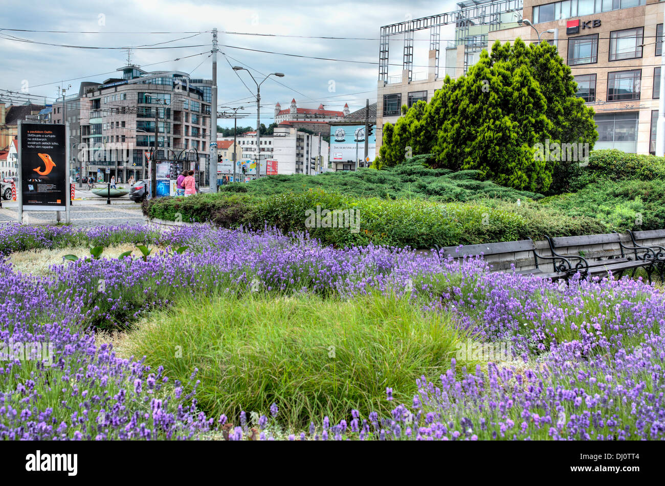 Parco Vicino Grassalkovich Palace, Bratislava, Slovacchia Foto Stock