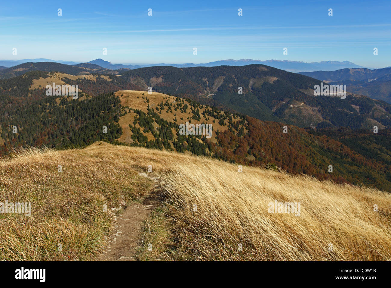 Vista panoramica dalla cima del Rakytov (Velka Fatra) verso i Monti Alti Tatra, Slovacchia. Foto Stock