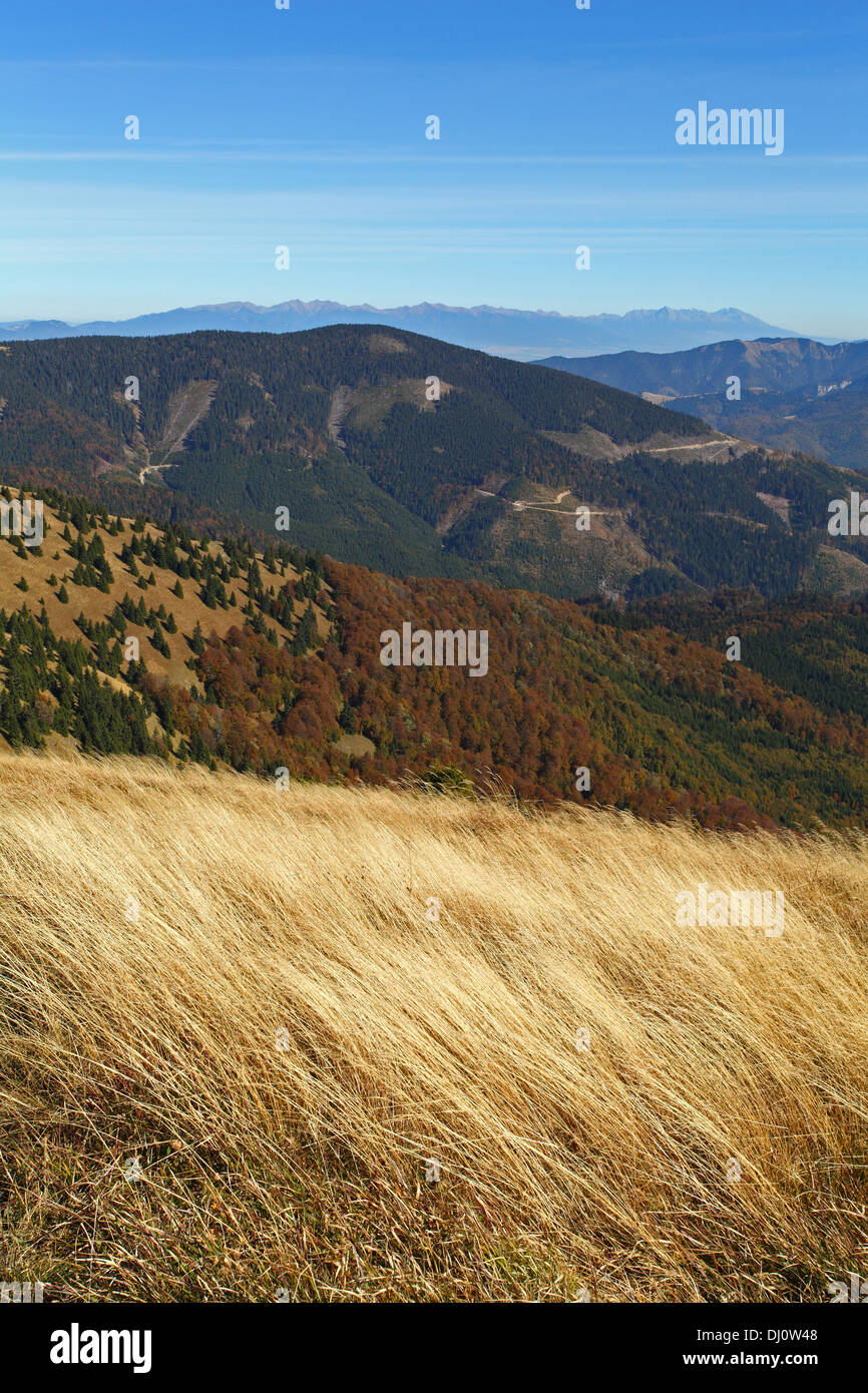 Vista panoramica dalla cima del Rakytov (Velka Fatra) verso i Monti Alti Tatra, Slovacchia. Foto Stock