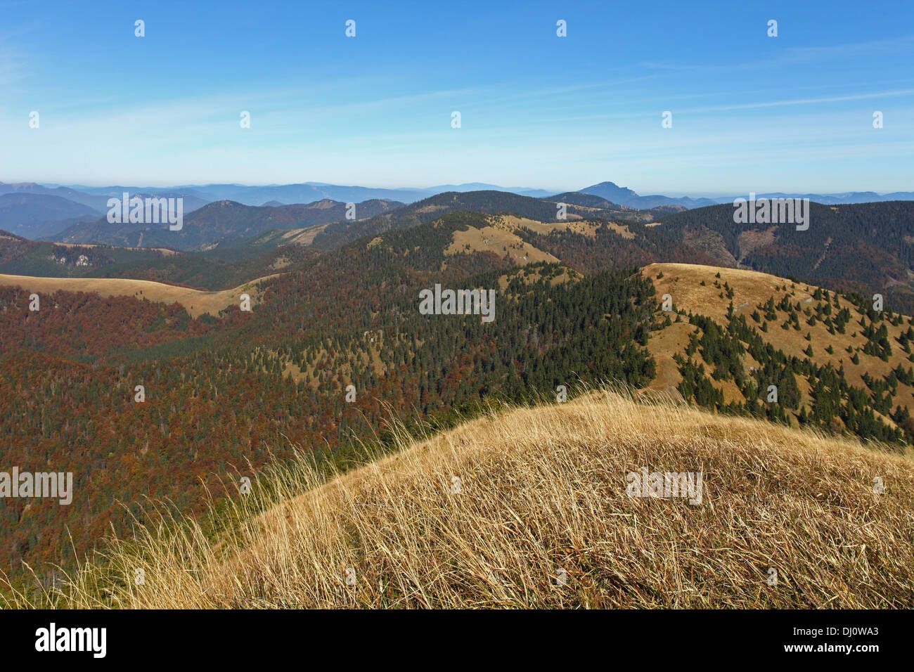 Parco nazionale di Velka Fatra dal vertice di Rakytov, vista verso Velky Choc, Slovacchia. Foto Stock