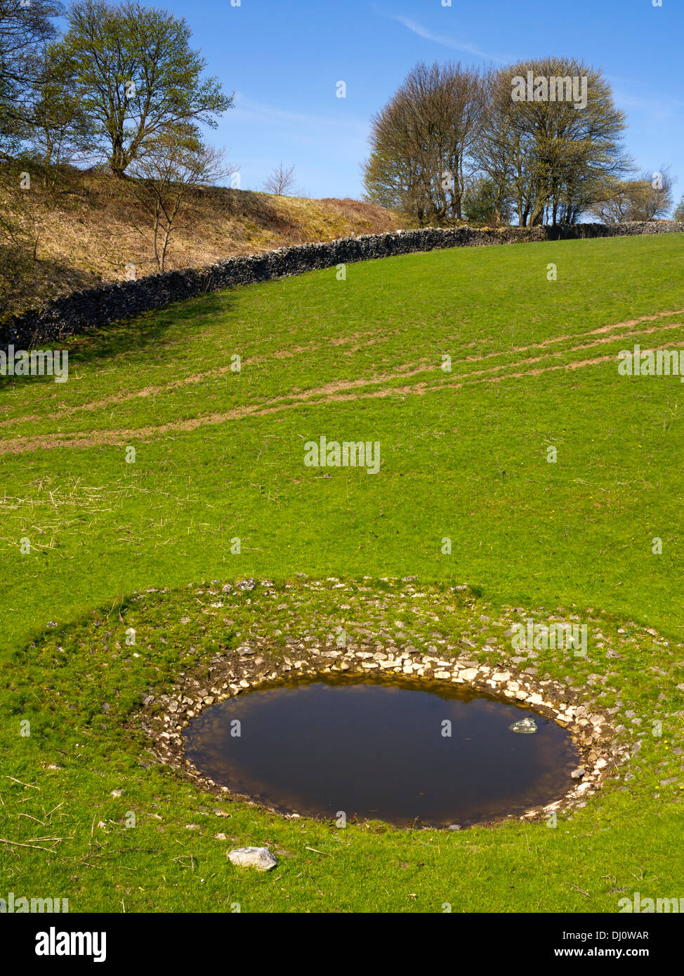 Stagno di rugiada utilizzati per la fornitura di acqua potabile per il bestiame in una fattoria vicino a Hartington nel distretto di Peak Derbyshire England Regno Unito Foto Stock