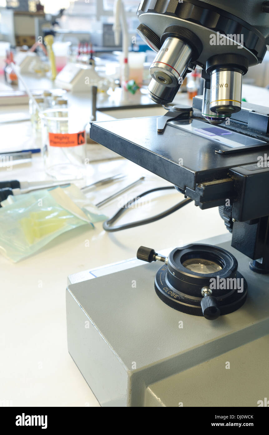 Rosso metile immagini e fotografie stock ad alta risoluzione Alamy