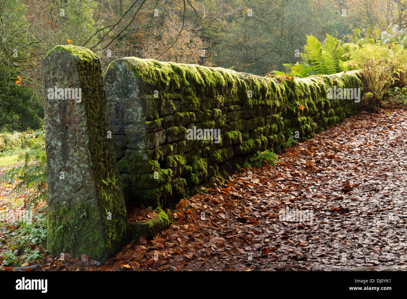 Gibson Mill, Hardcastle Crags, West Yorkshire. Foto Stock