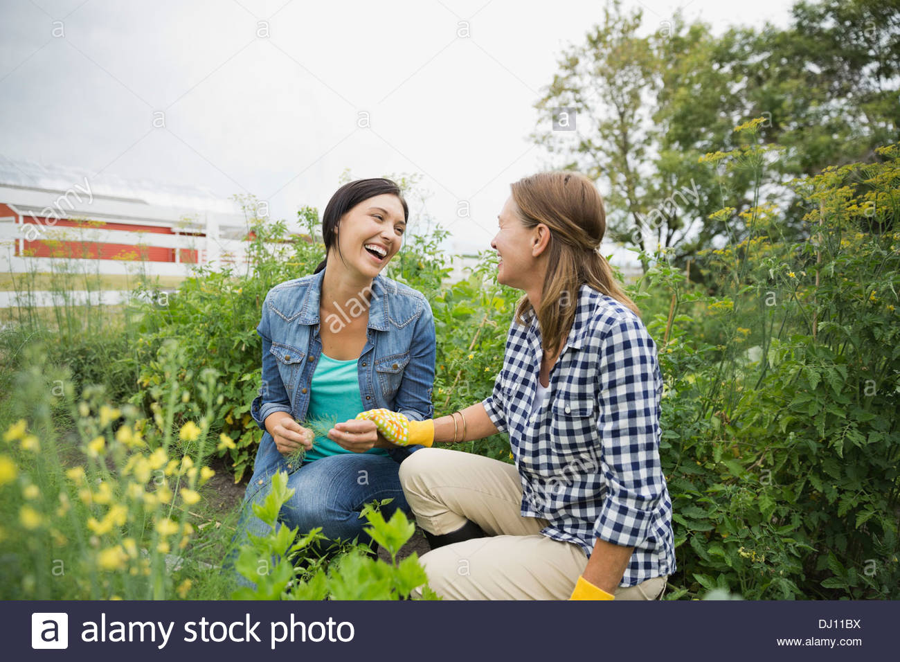 Madre e figlia insieme di giardinaggio Foto Stock