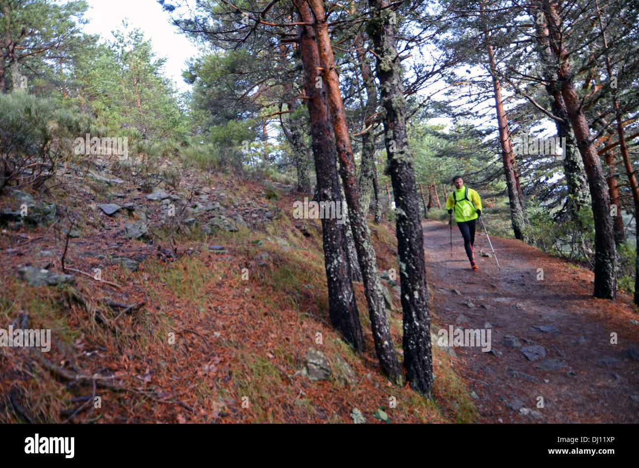 Runner in PeÃ±alara, vetta più alta nella gamma della montagna di Guadarrama, Spagna Foto Stock