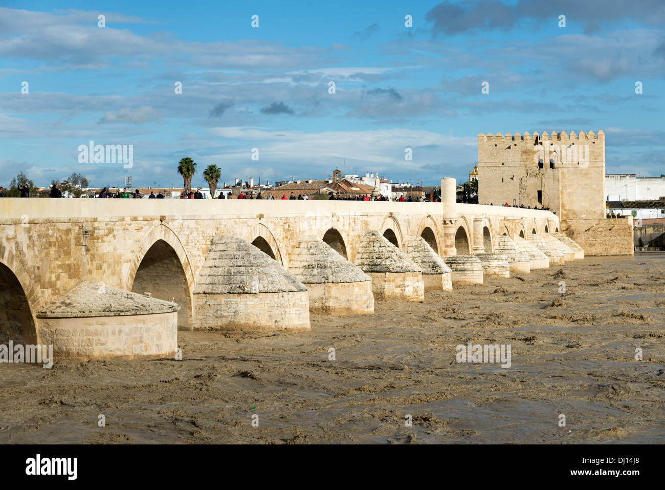 Il ponte romano e la Torre di Calahorra, Cordoba, Andalusia, Spagna Foto Stock
