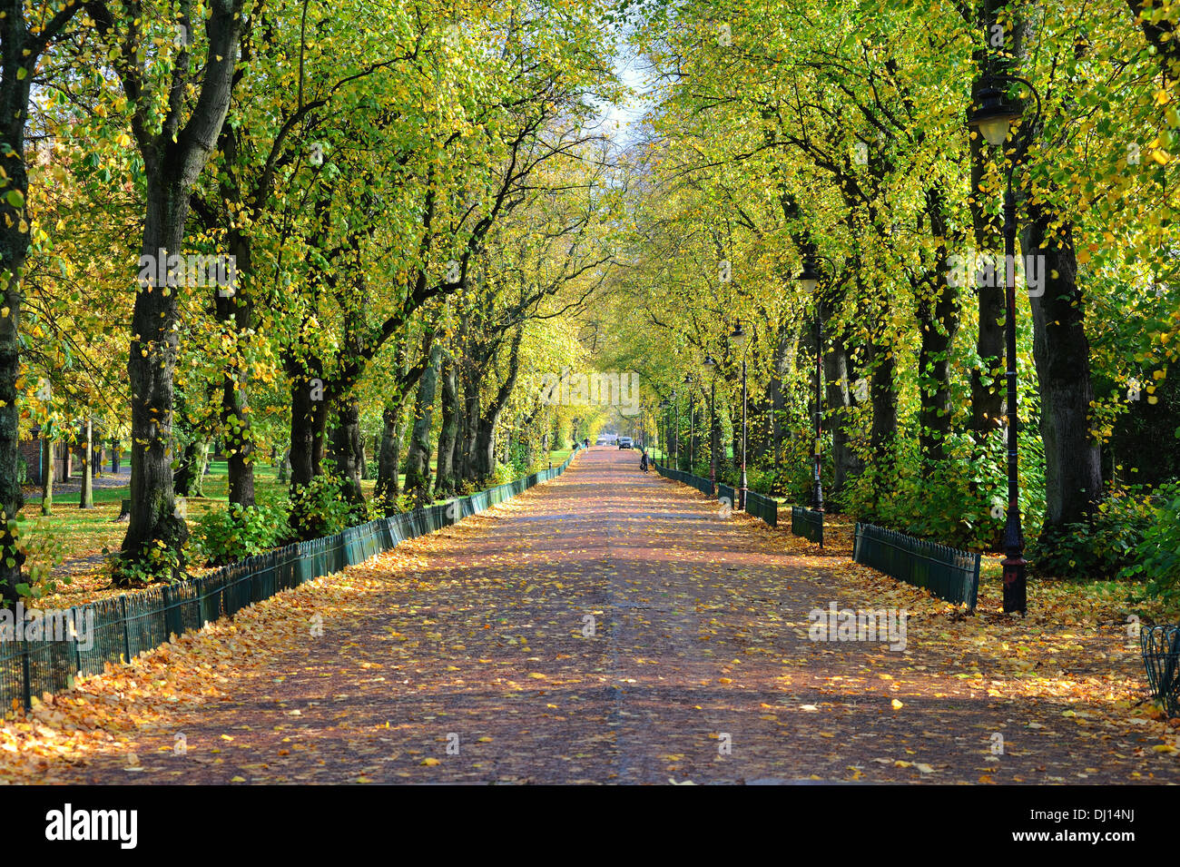 Colori d'autunno Foto Stock