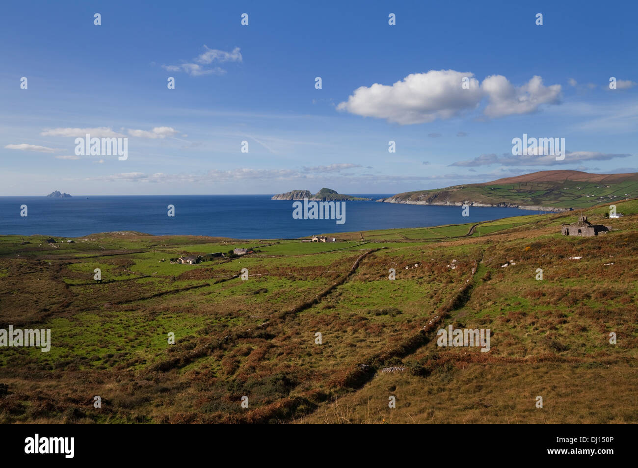 Puffin Island da Skelligs Ring Road vicino Killonecaha, Ring of Kerry County Kerry, Irlanda Foto Stock