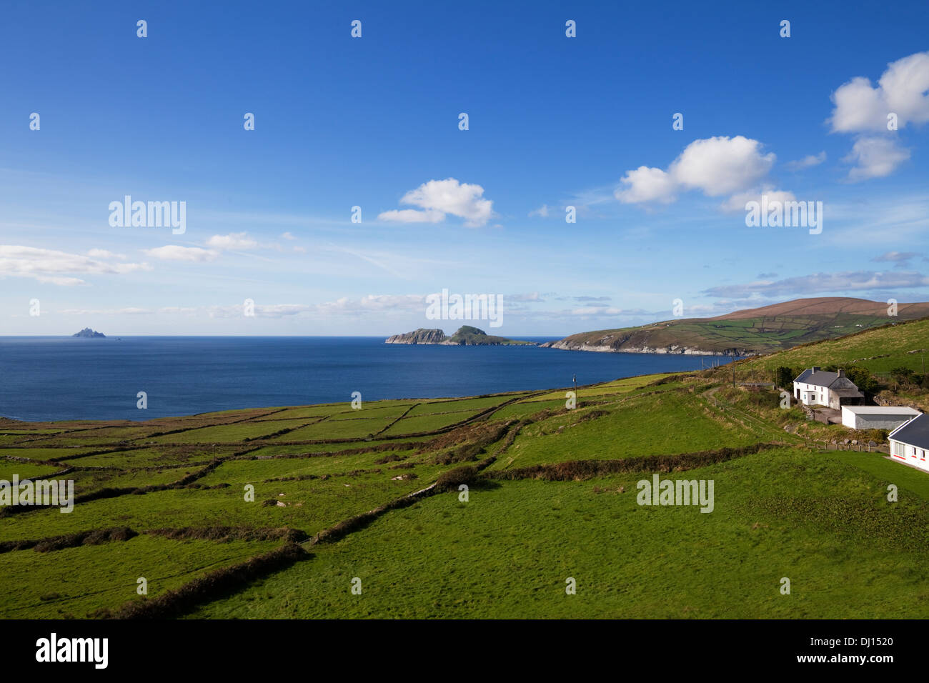 Puffin Island da Skelligs Ring Road vicino Killonecaha, Ring of Kerry County Kerry, Irlanda Foto Stock