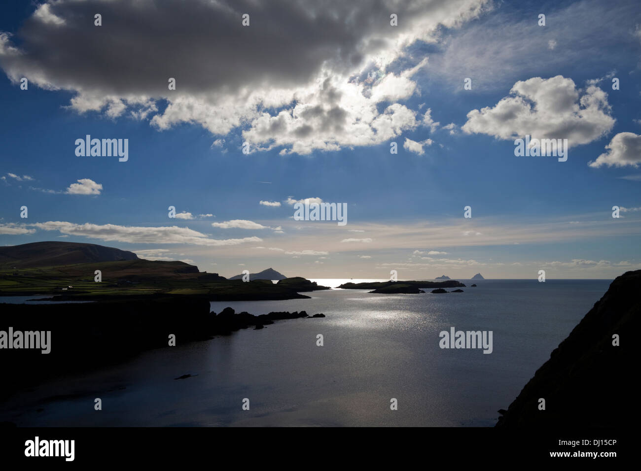 Testa Ballaghnanea, suono Puffini e Puffin Irlanda, da Valencia Island, l'anello di Kerry, la Contea di Kerry, Irlanda Foto Stock