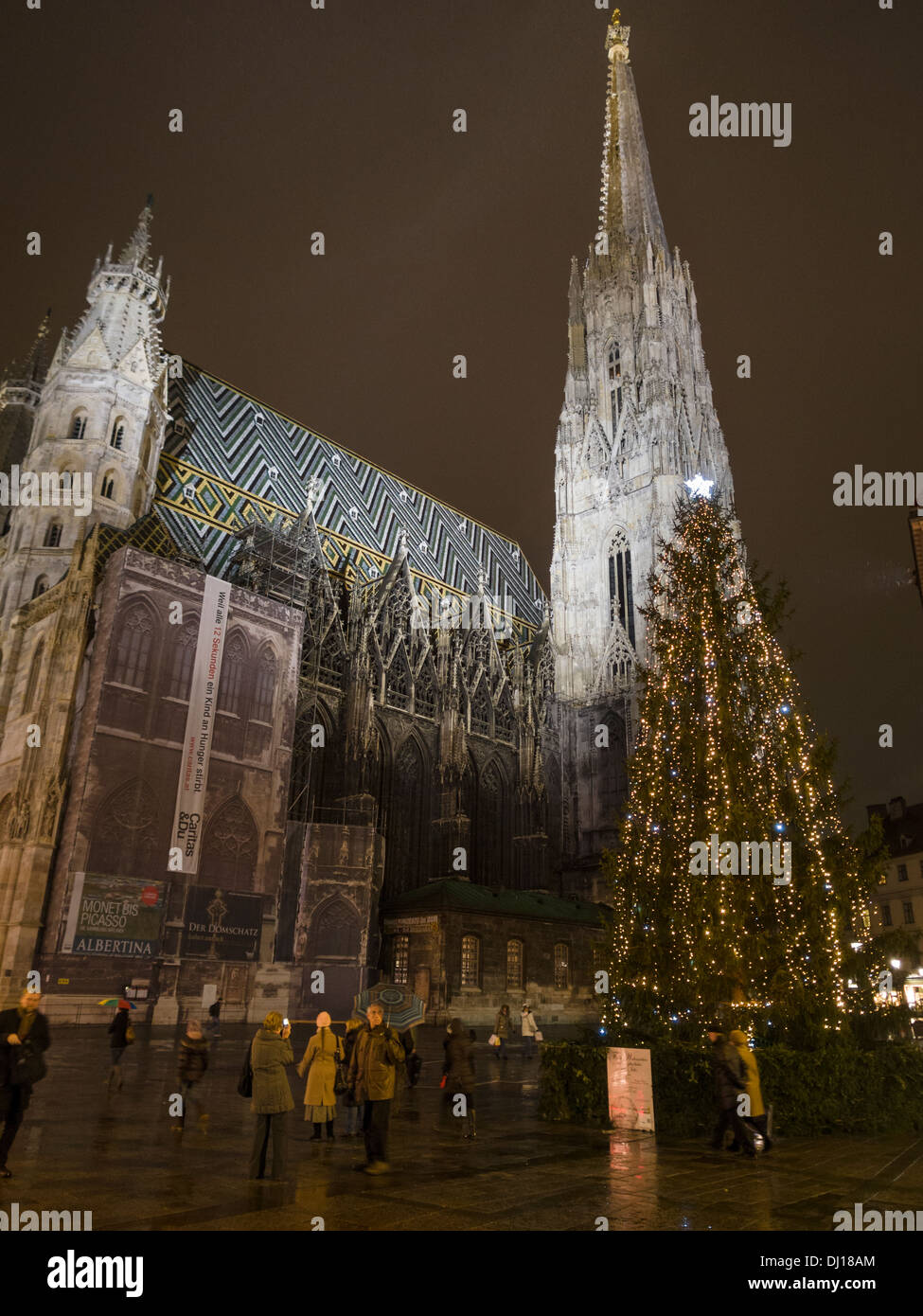 Serata a Stephansdom con albero di Natale. Una stella e rabboccato albero di Natale riecheggia la forma della massiccia torre della cattedrale. Foto Stock