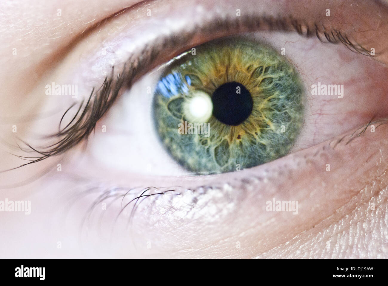 Foto di un occhio umano; Colori folli e forte iris colorati Foto stock -  Alamy