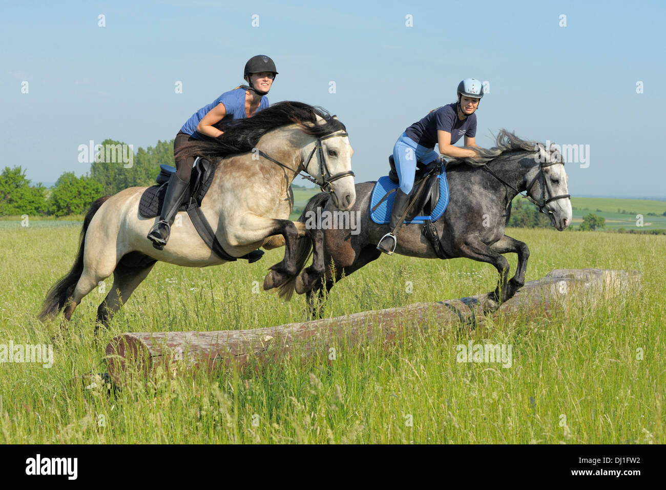 Pony Connemara. Due ragazze jumping simultaneamente su un tronco di albero Foto Stock