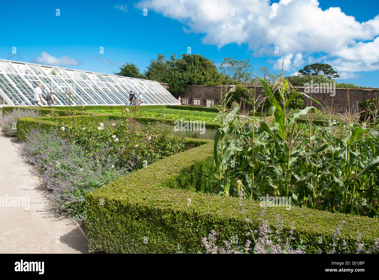 Una immagine di un giardino eco in Cornwall Regno Unito. Foto Stock