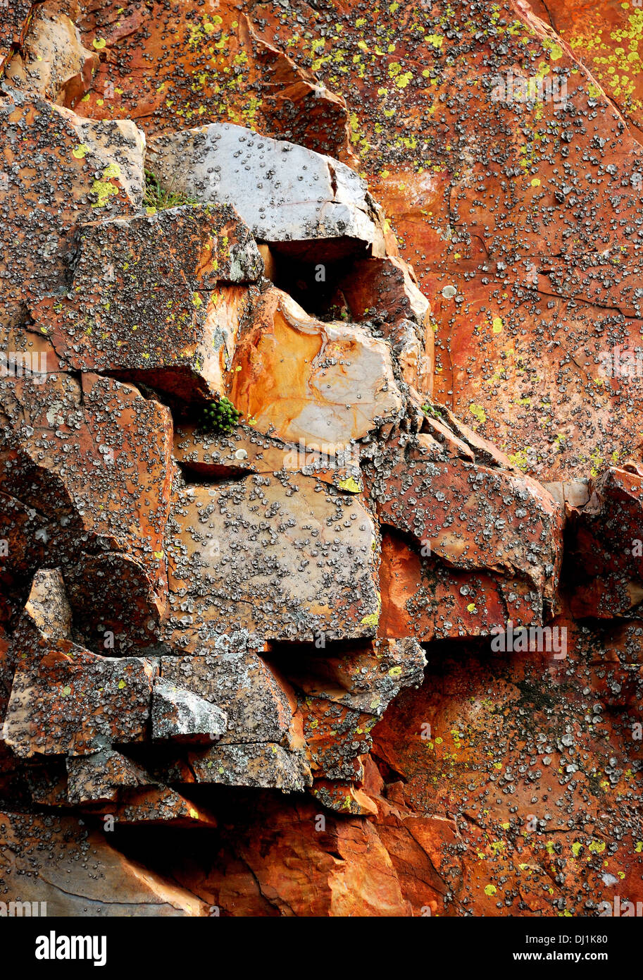 Rosso e Giallo le rocce in Monfrague Parco Nazionale in Spagna. Foto Stock