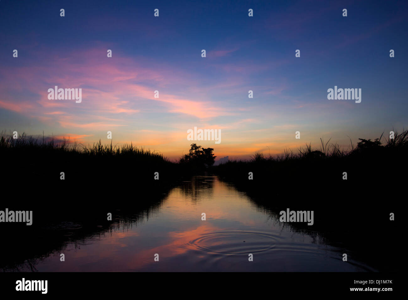 Fiume e silhouette di erba con il tramonto su crepuscolo Foto Stock