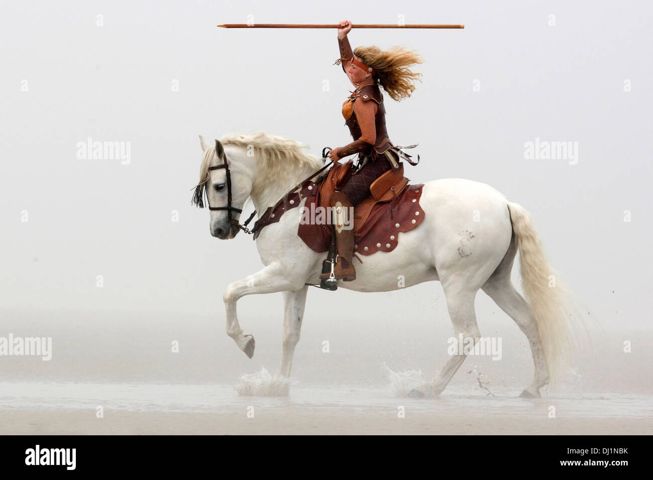 Pura spagnola andalusa di cavalli montati amazon lancia cavallo grigio Foto  stock - Alamy