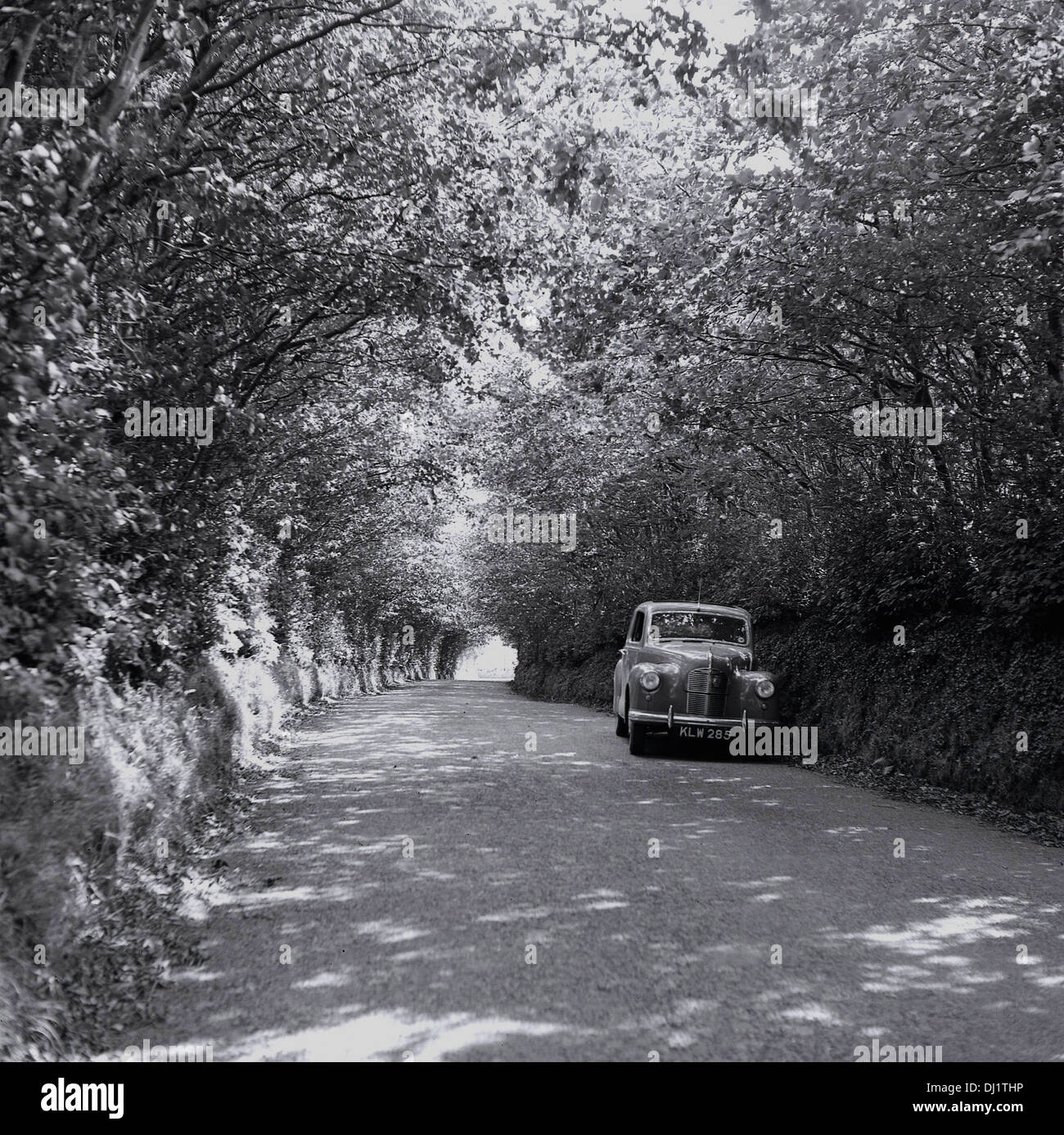 Foto storiche da1950s'Inghilterra, che mostra una macchina parcheggiata sul lato di un viale alberato vicolo del paese. Foto Stock