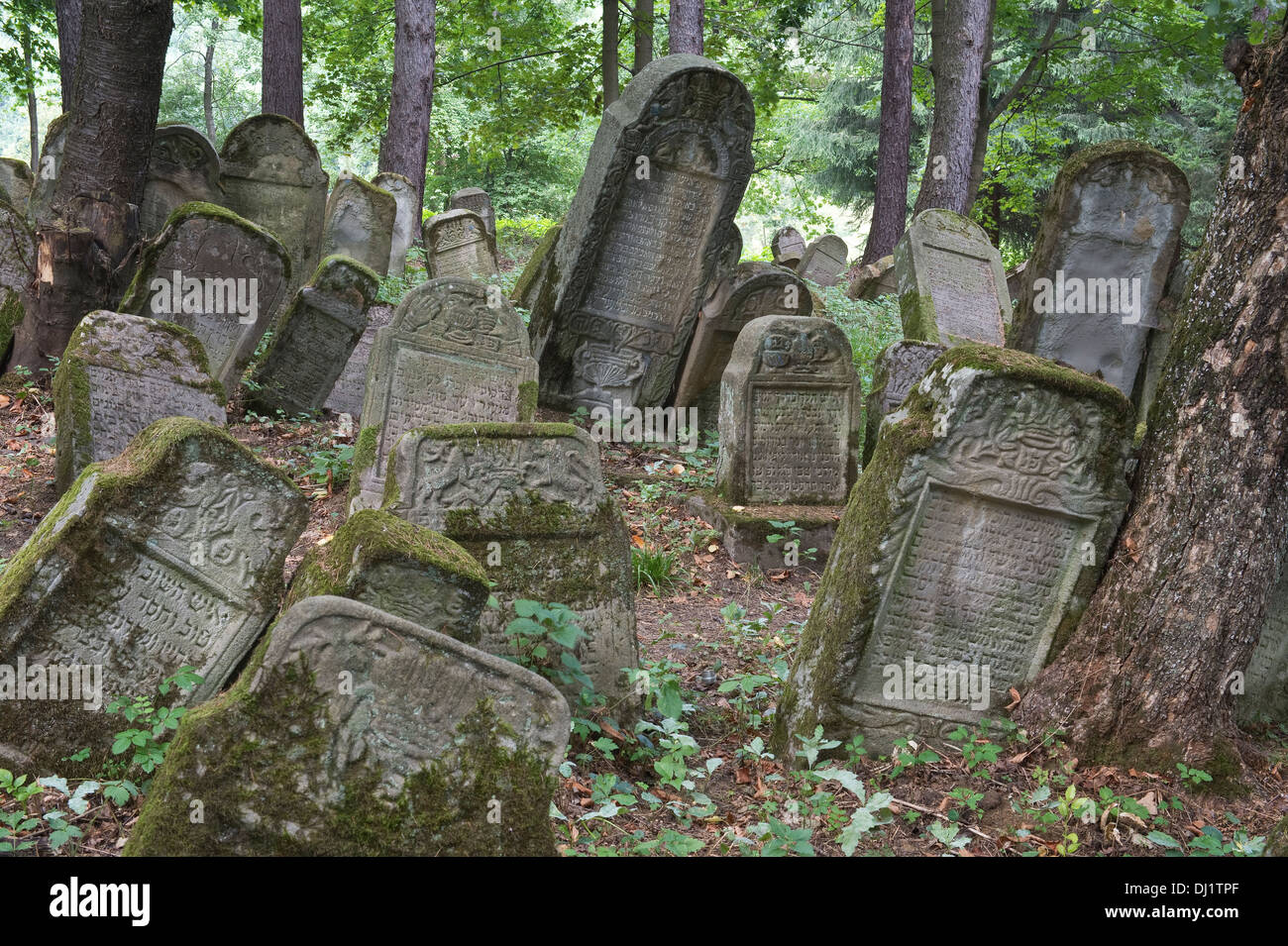 Pietre tombali risalenti al XVI secolo uno di Polonia il più antico, Kirkut, i cimiteri ebraici Bieszczady Lesko Polonia Foto Stock