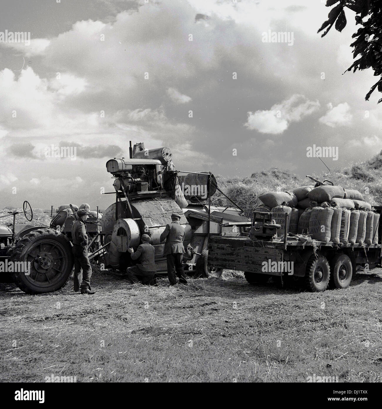 Degli anni Cinquanta, un quadro storico che mostra una trebbiatrice combinato, il trattore e il camion che è caricata con sacchi di raccolti. Foto Stock