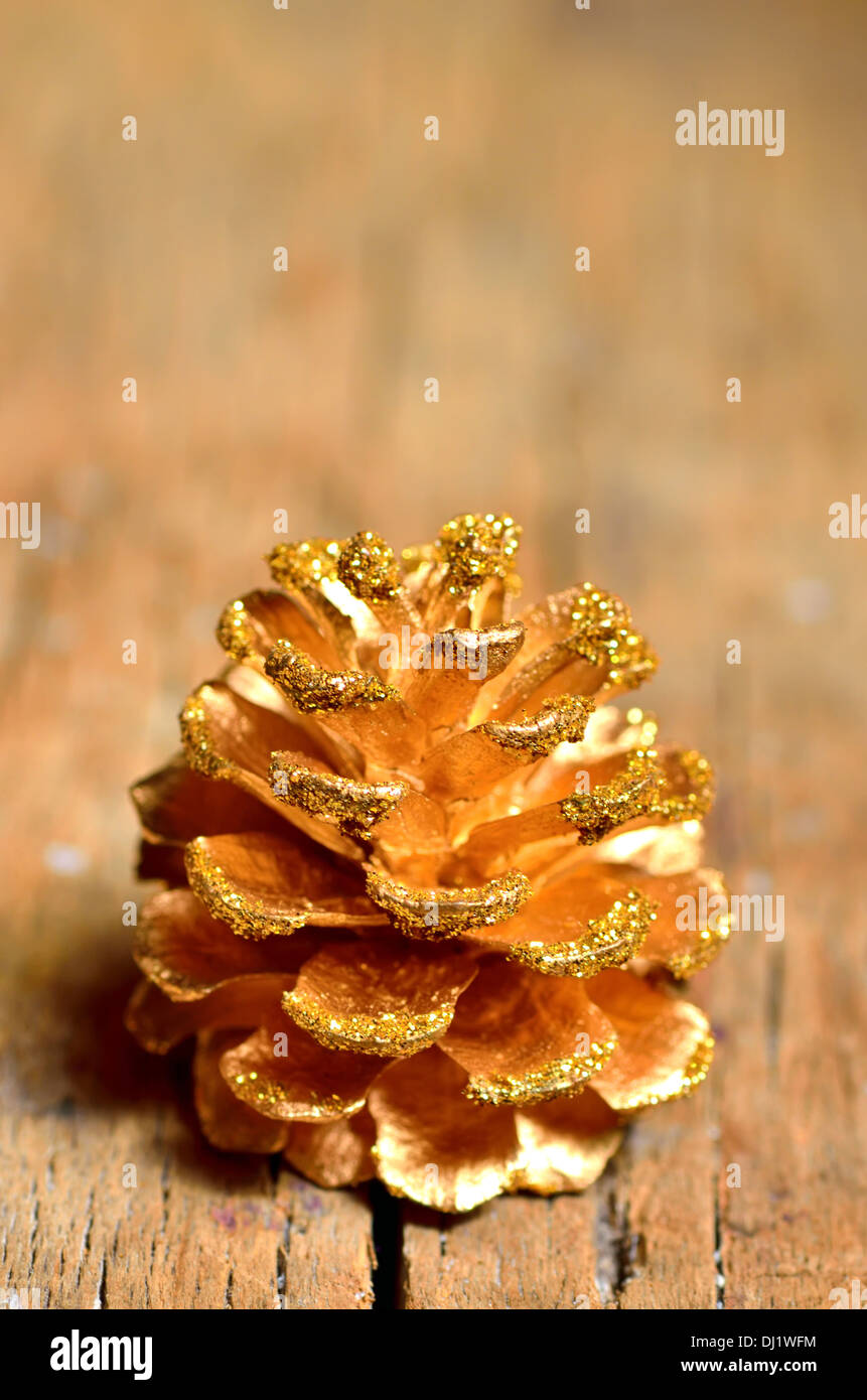 Pigne isolati su legno vecchio Foto Stock