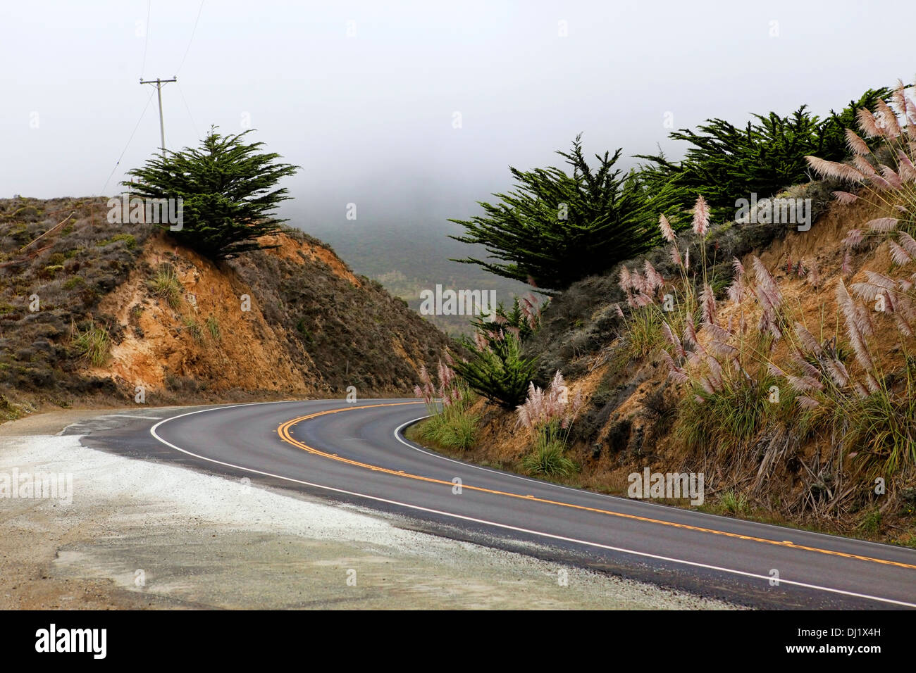 Strada nella nebbia, portando ad Half Moon Bay, California Foto Stock