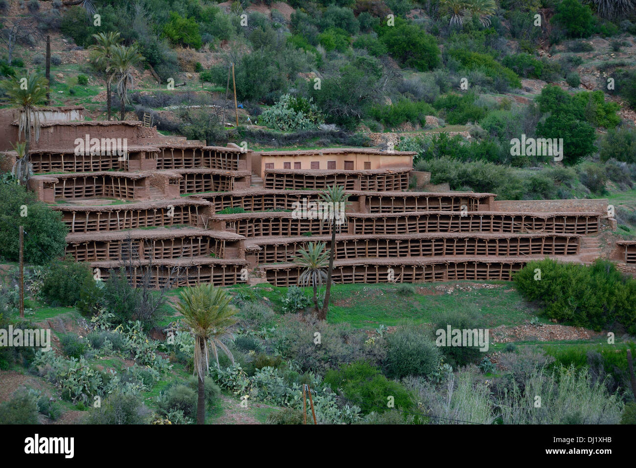 Il Marocco, provincia di Taroudant vicino Argana, Inzerki alveare, il più vecchio e più alveare collettiva nel mondo Foto Stock