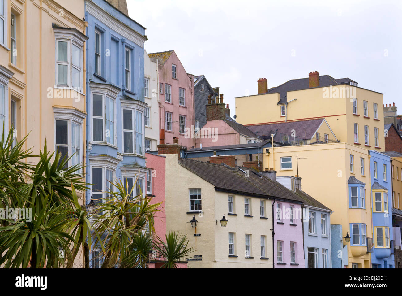 Case colorate sopra il porto, Tenby, Pembrokeshire, Wales, Regno Unito Foto Stock
