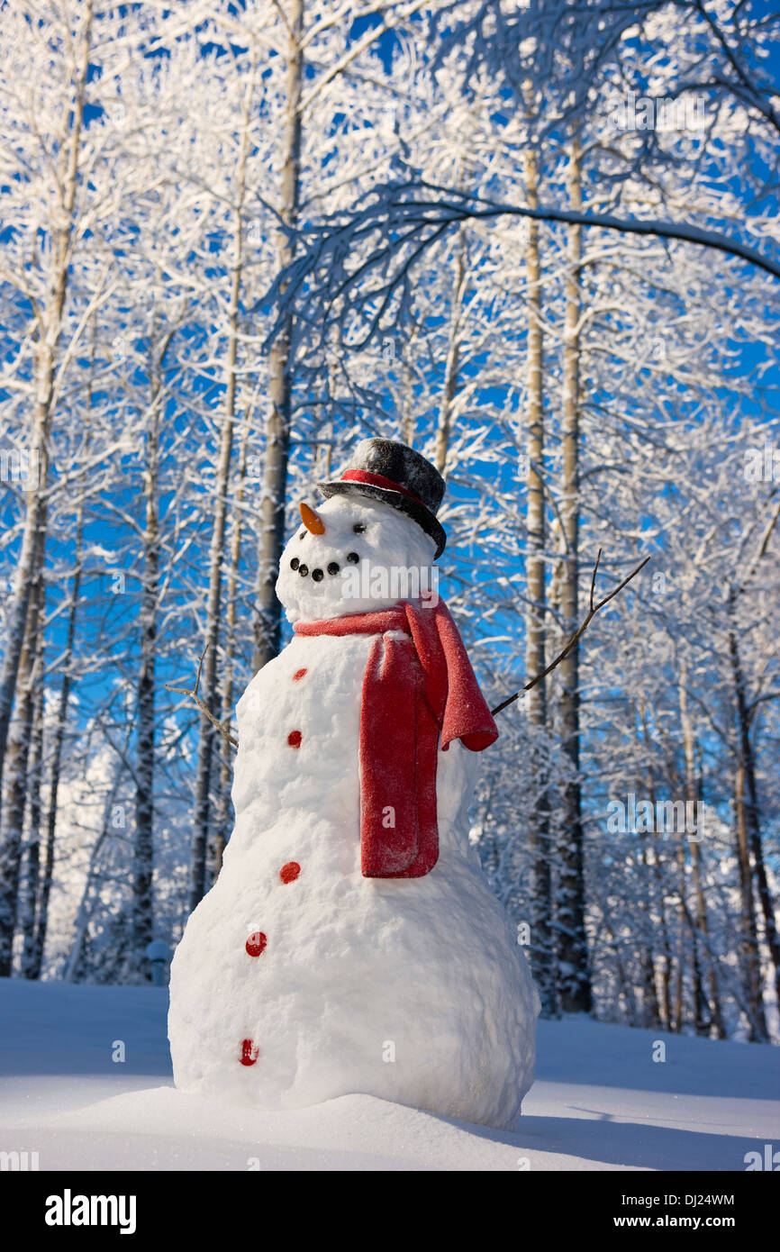 Pupazzo di neve con sciarpa rossa e nera Top Hat In piedi di fronte a coperto di neve la foresta di betulla, inverno, Eagle River, Alaska, Stati Uniti d'America. Foto Stock