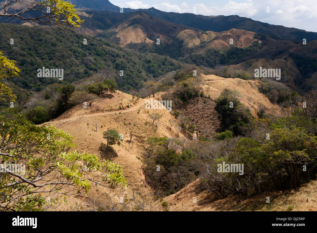 Campagna di laminazione e terreni agricoli nella parte interna della Costa Rica. Foto Stock