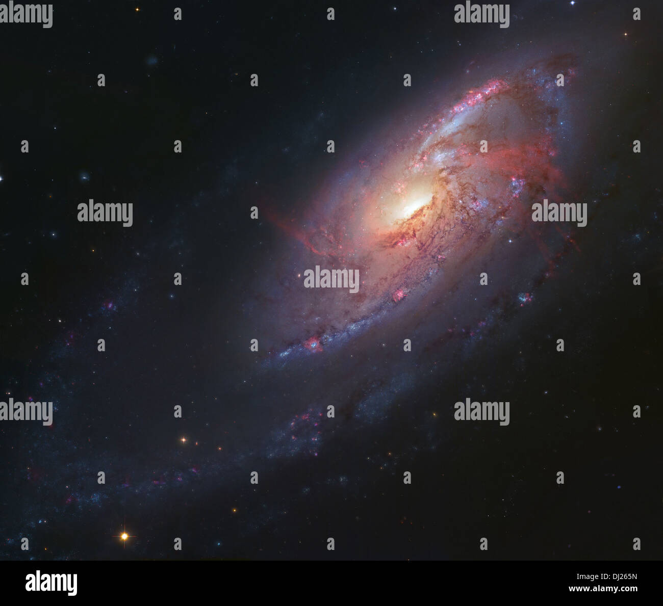 Galassia a spirale M-106 che ha 4 armi e un massiccio buco nero al suo centro. Foto Stock