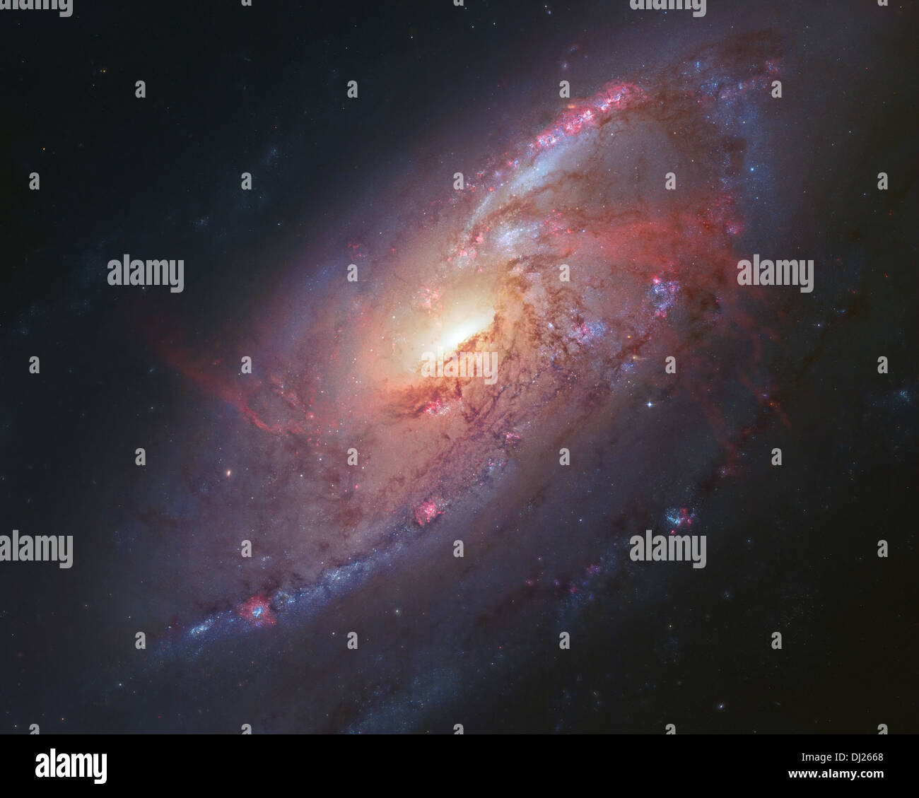 Galassia a spirale M-106 che ha 4 armi e un massiccio buco nero al suo centro. Foto Stock