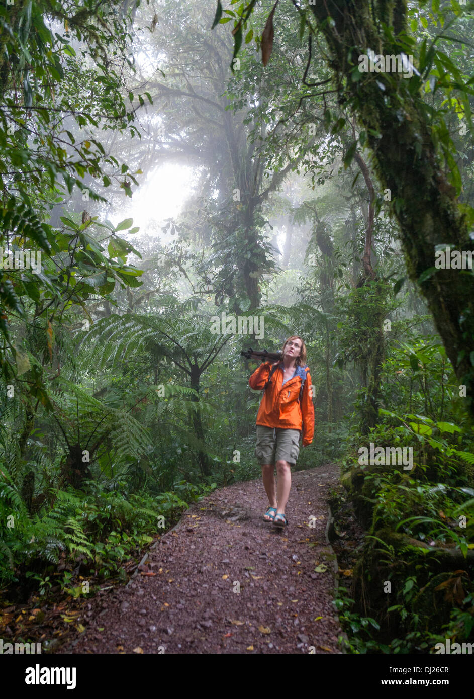 Una donna a piedi attraverso la Monteverde Cloud Forest Riserve in Costa Rica. Foto Stock
