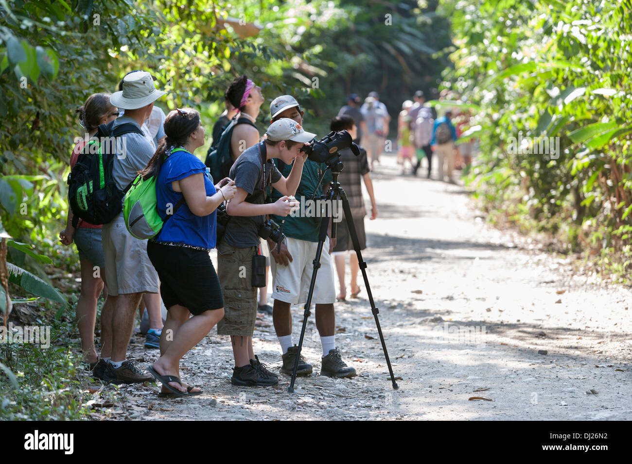 Turisti si riuniscono intorno a una guida per ottenere uno sguardo al wildlife presso il Parco Nazionale di Manuel Antonio in Costa Rica. Foto Stock