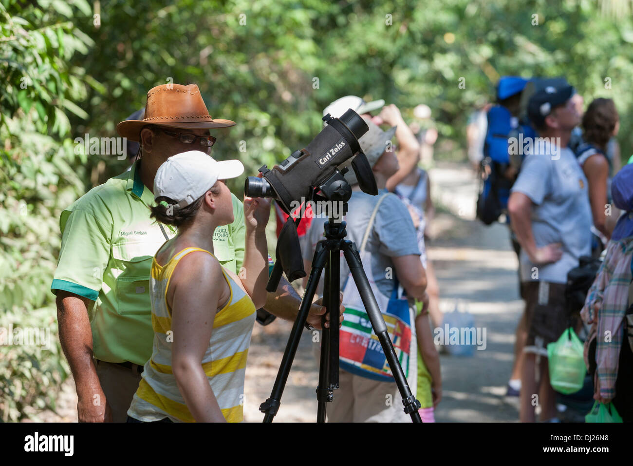 Turisti si riuniscono intorno a una guida per ottenere uno sguardo al wildlife presso il Parco Nazionale di Manuel Antonio in Costa Rica. Foto Stock