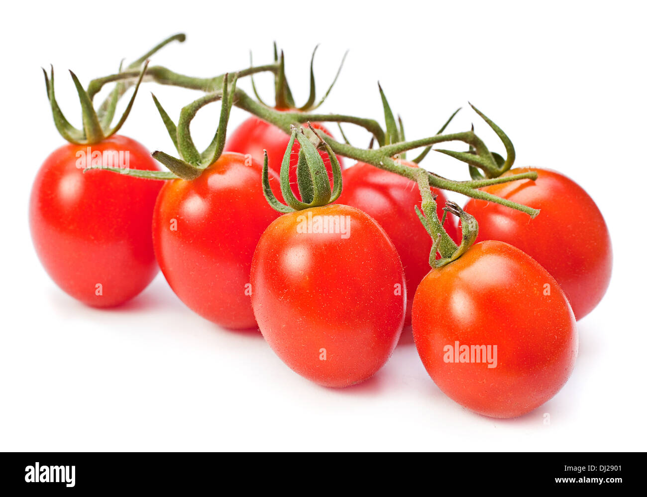 Il ramo rossi pomodori ciliegini isolato su bianco Foto Stock