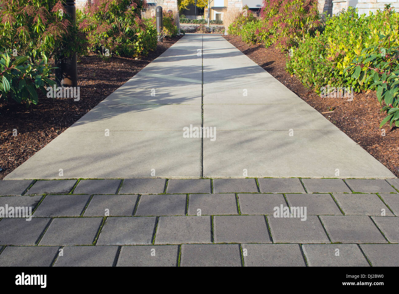 Commerciale spazio Outdoor Sidewalk paesaggistica con percorso a piedi e piante Foto Stock